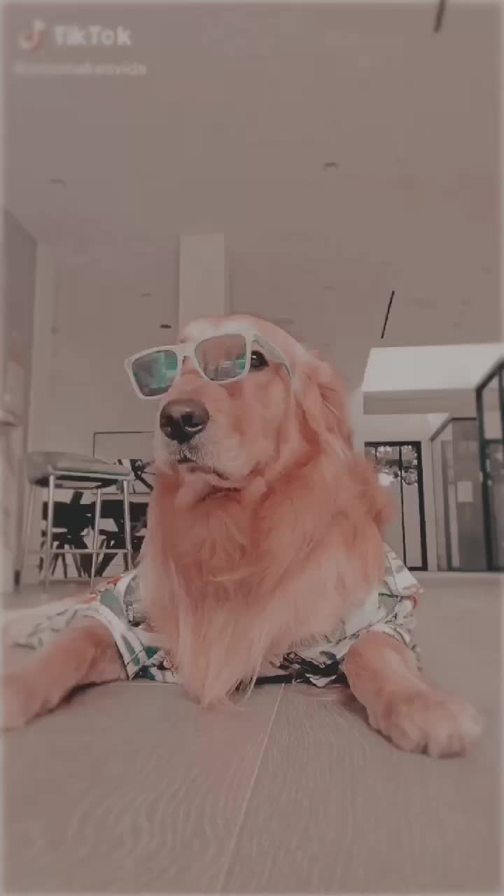 @𝗱 𝗶 𝘅 𝗶 𝗲 🏹🤍