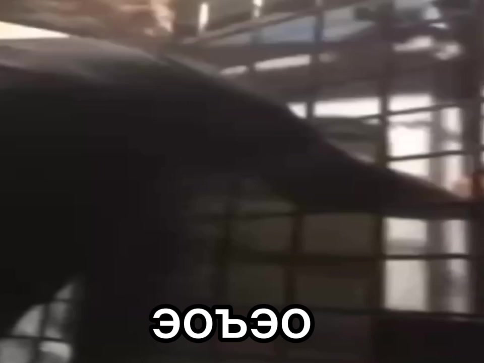 @Тʙᥙκᥴ
