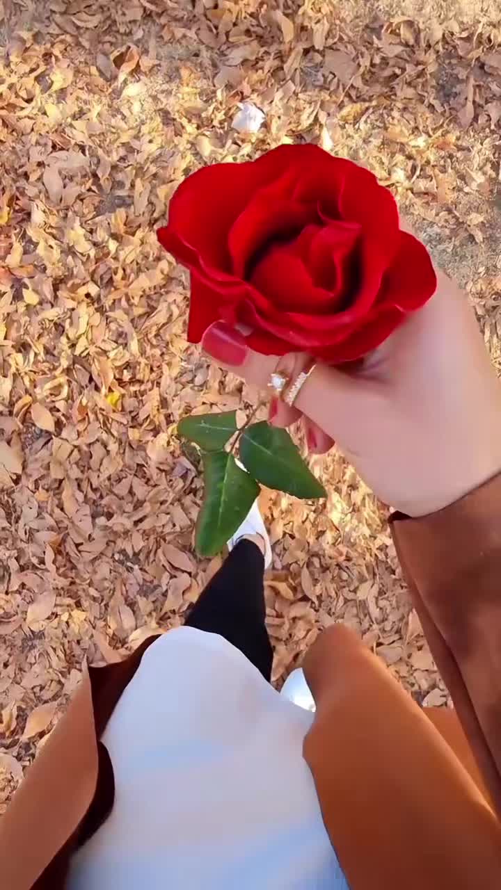 @Ramona Galeano
