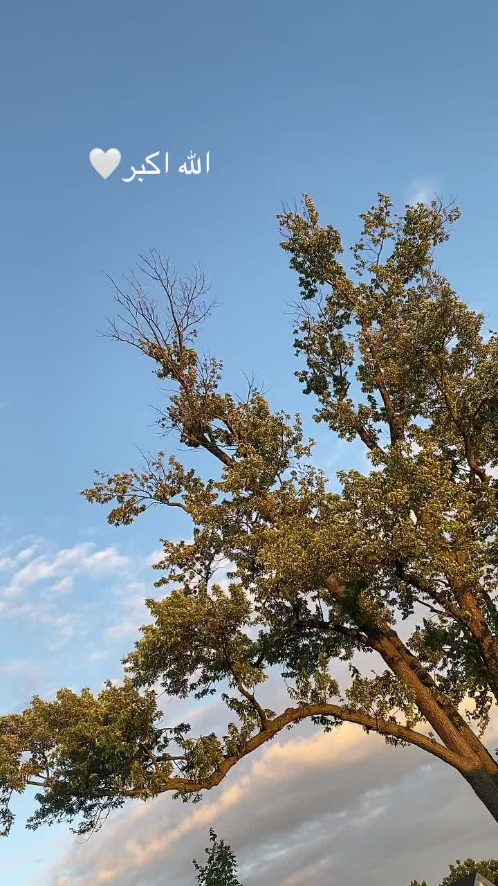 @يارب