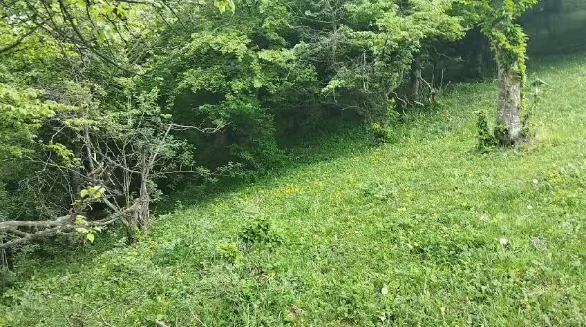 @Buğa bürcü