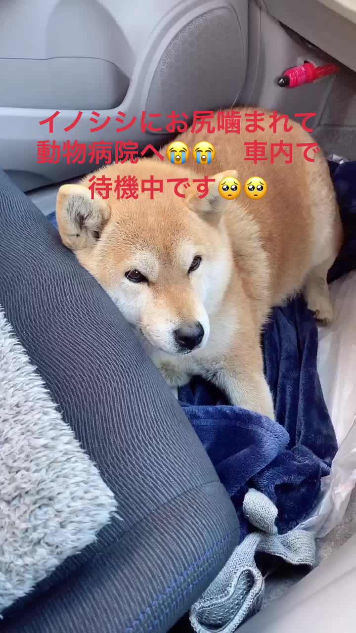 @英斗