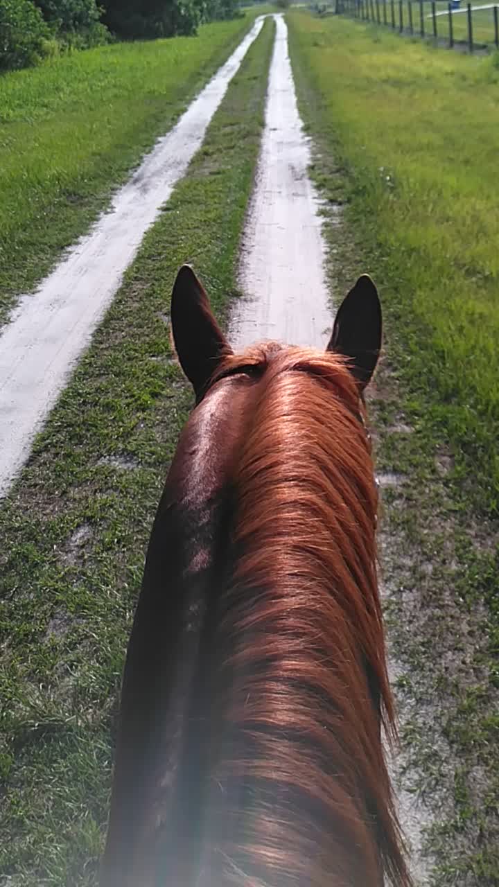 @Flhorselife772