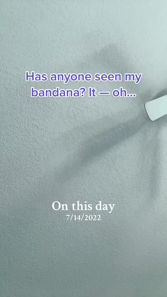 @abatnameddizzy