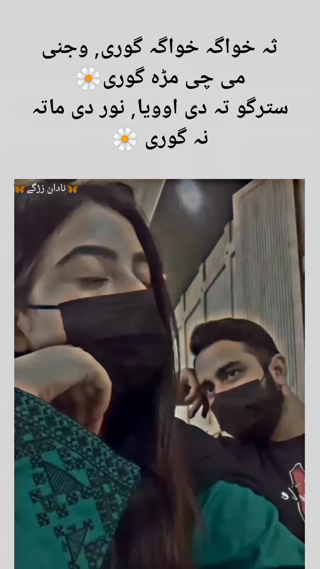 @🌷🦋 غمجنی ٹپی 🦋🌷