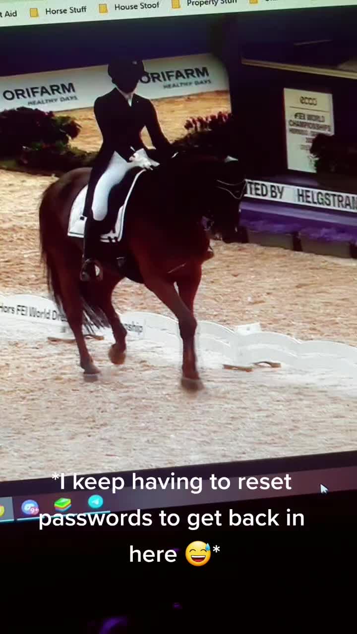 @Artline Dressage
