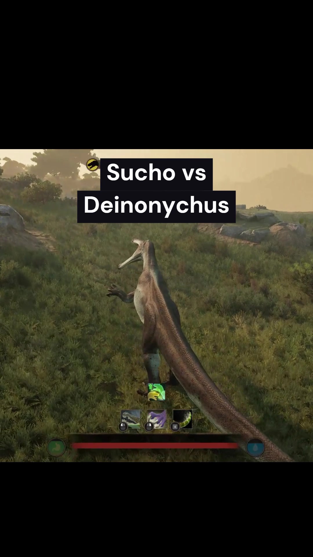 @Shylian