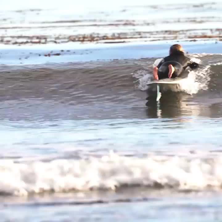 @sustainablesurf