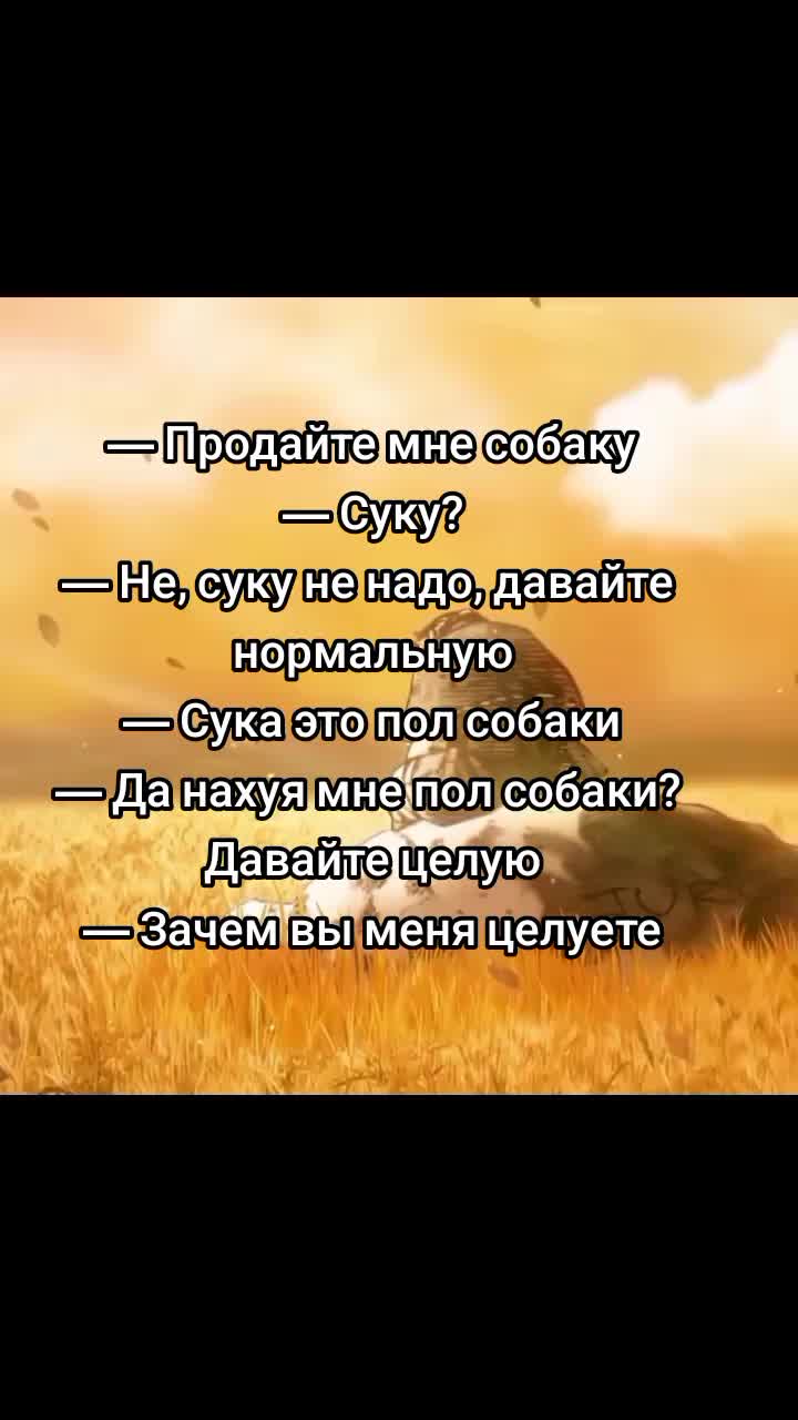 @Шутки от Торфинна