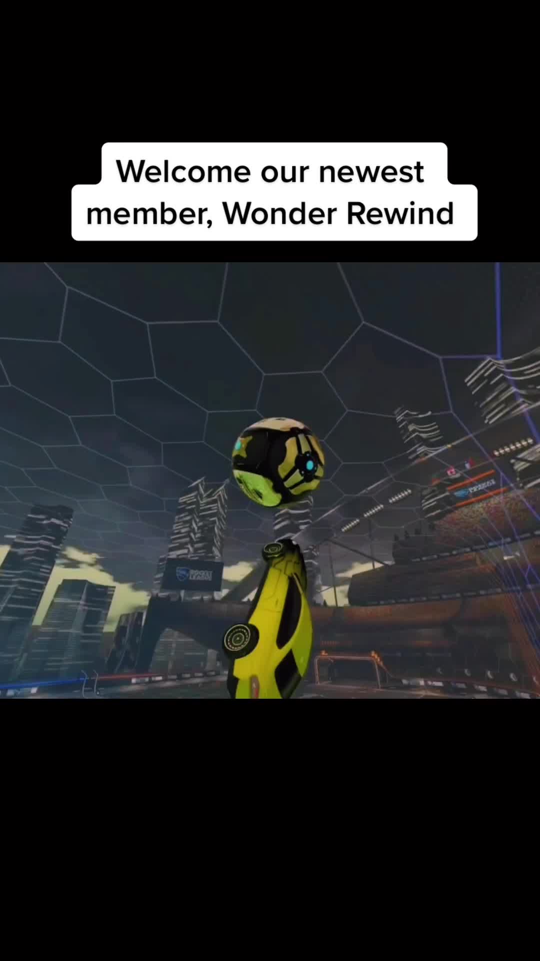 @Team.Wonder.rl