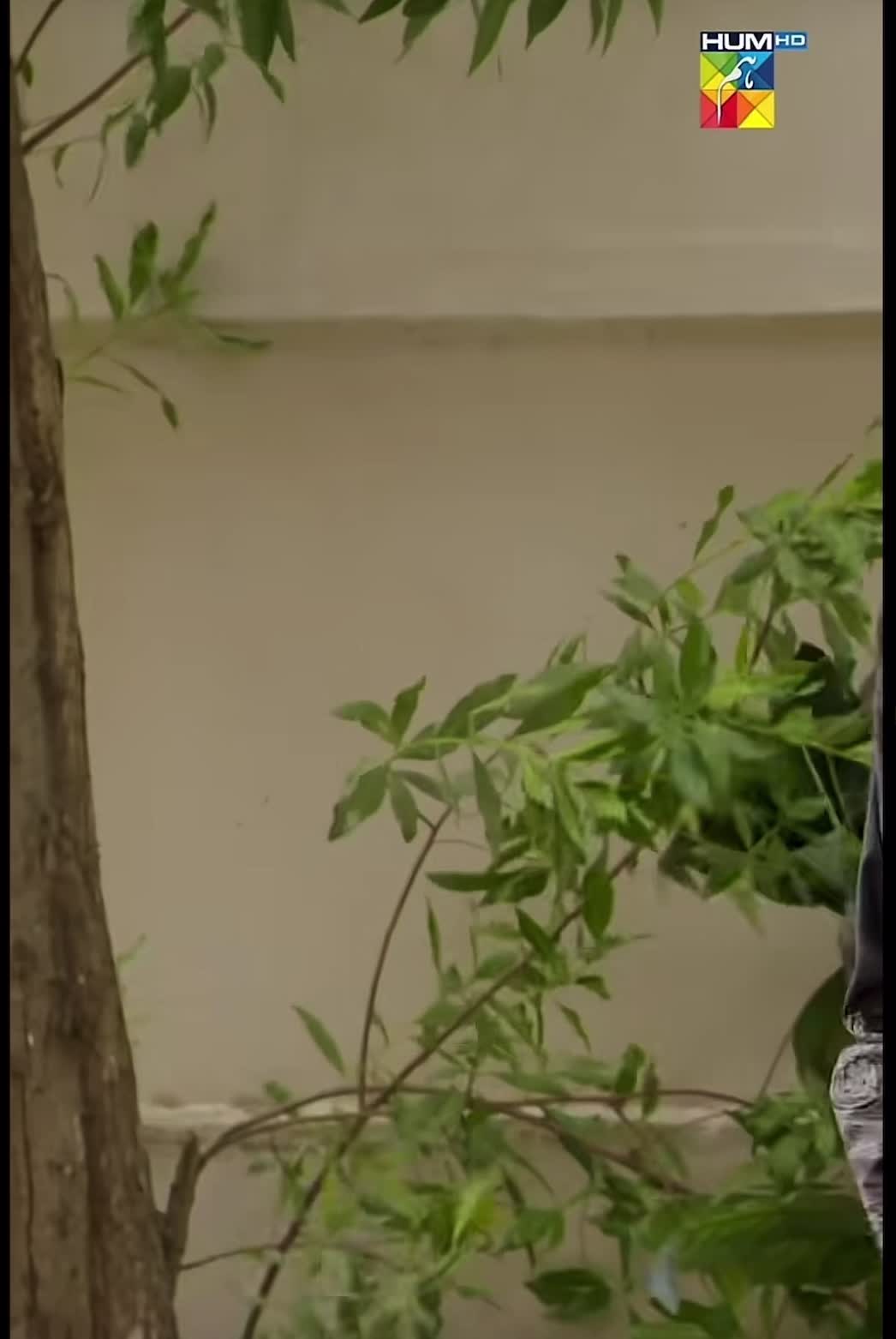 @محبت