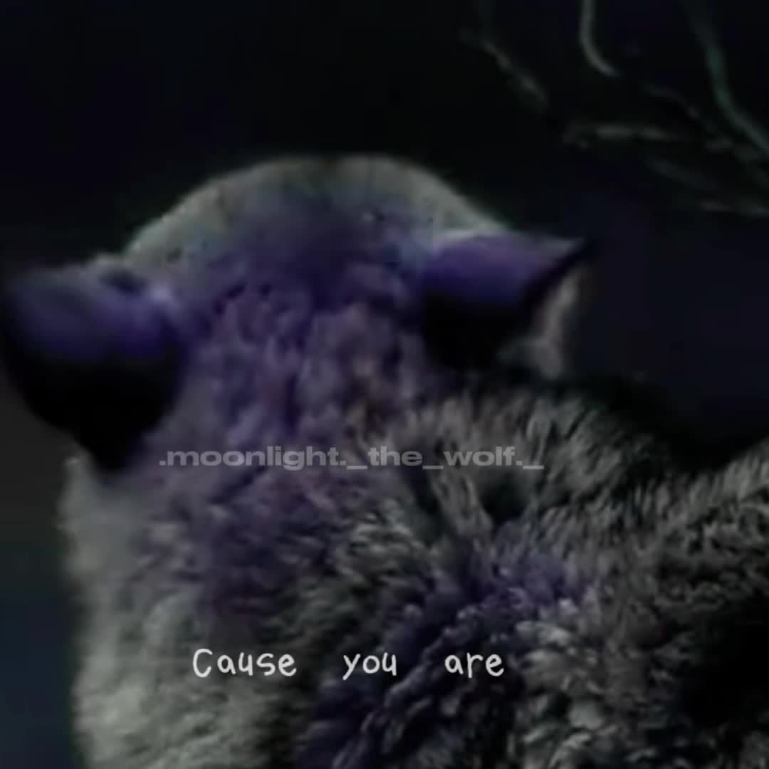 @💜🐺moonlight🐺💜