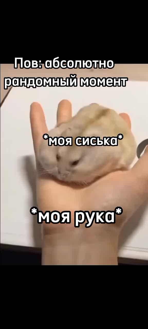 @Симпатичный гроб💗 @