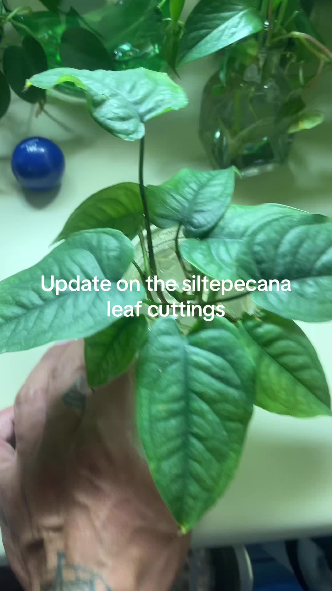 @jonmikeromeo23