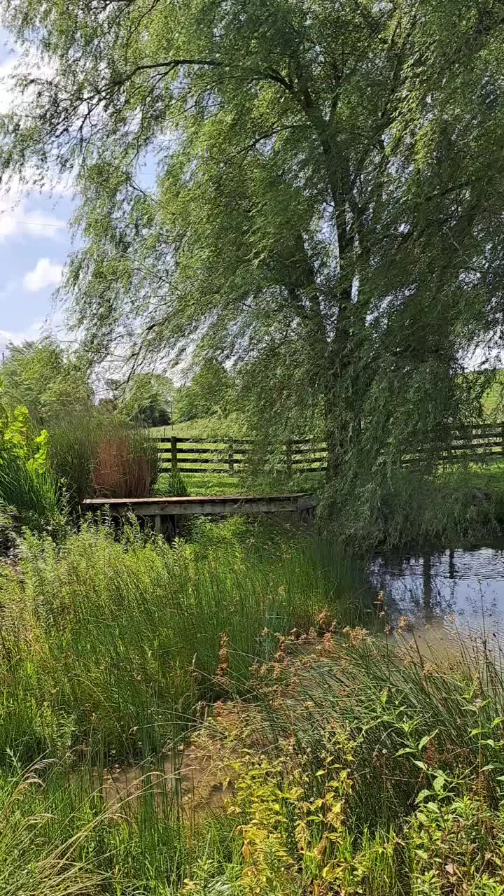 @WildIrishRose_EC