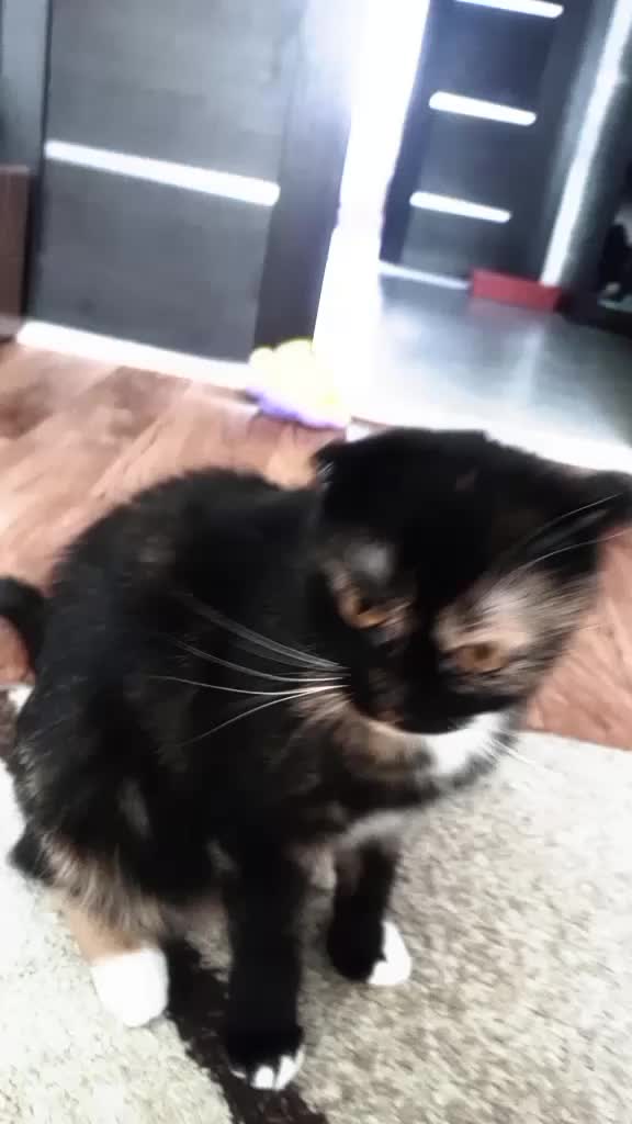 @Verronichka🐆🤍