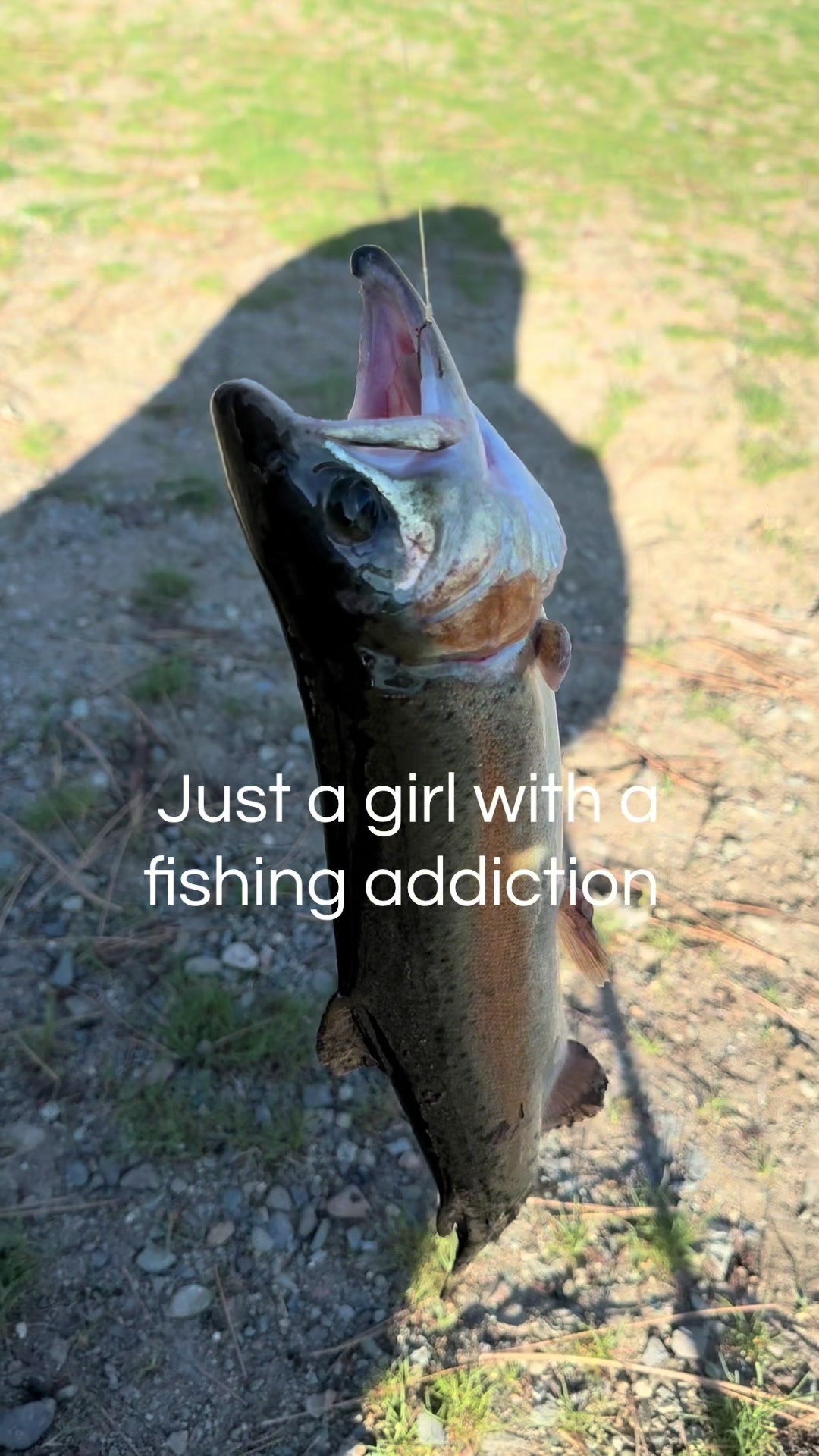 @lifewith__b🎣
