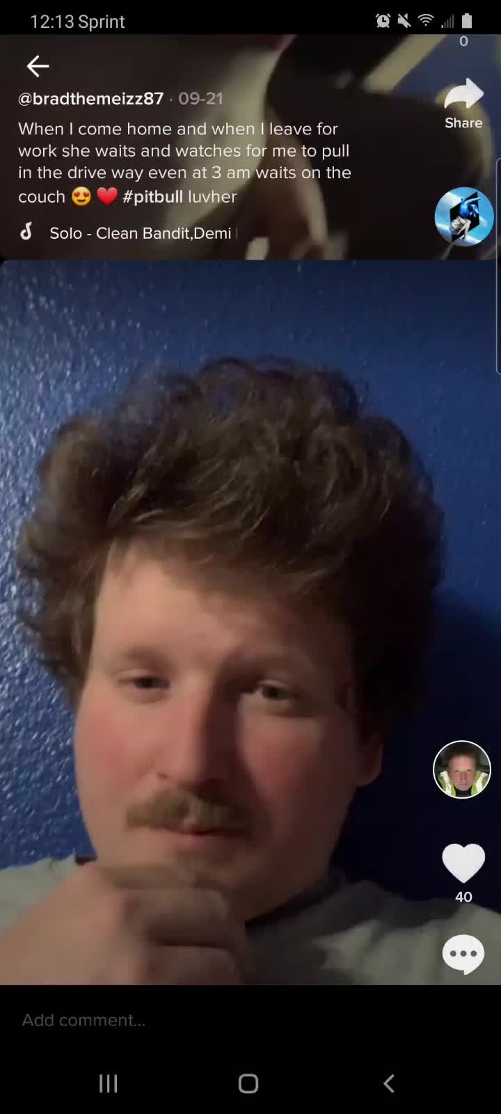 @brad