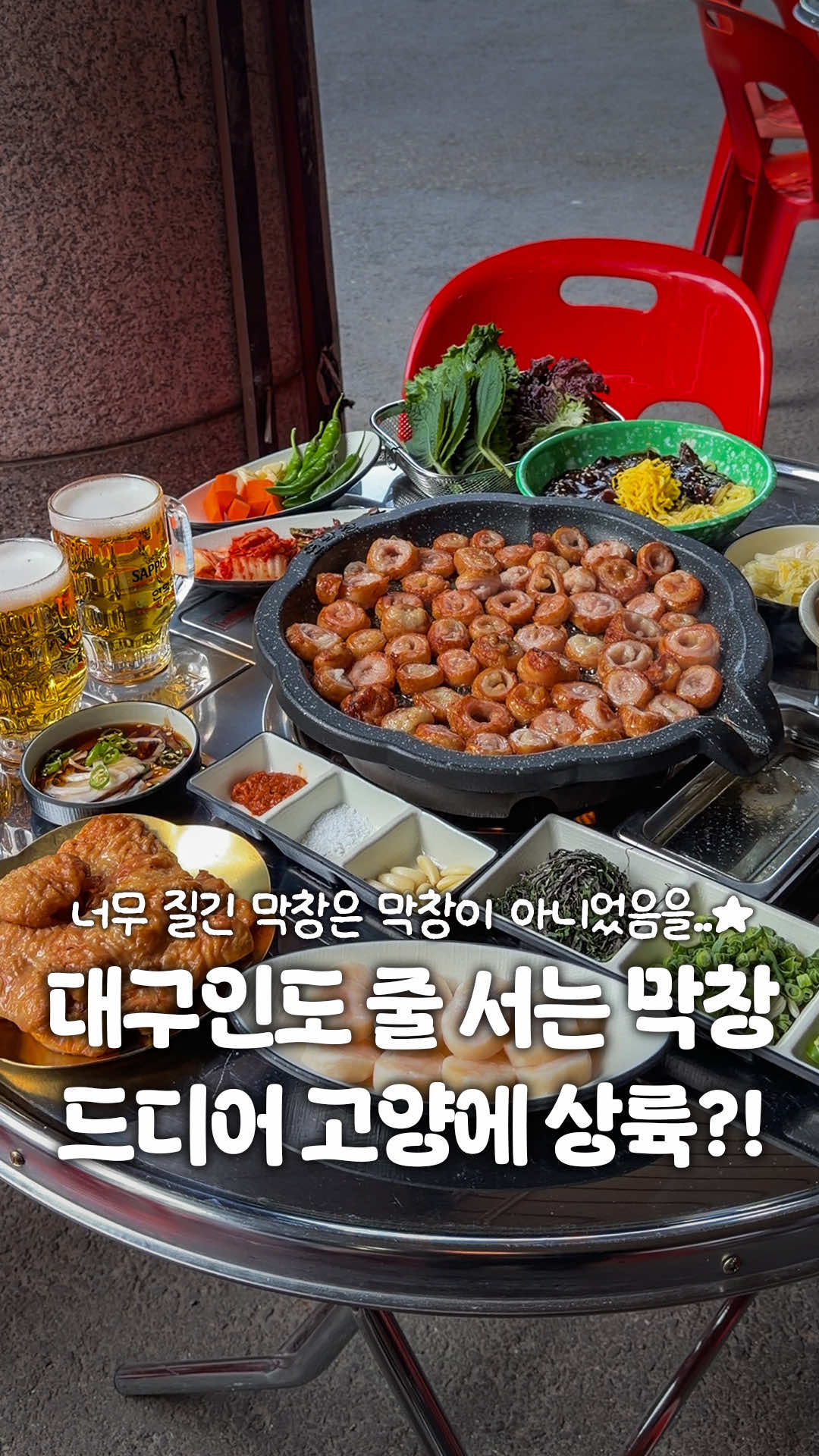 @일산갈고양