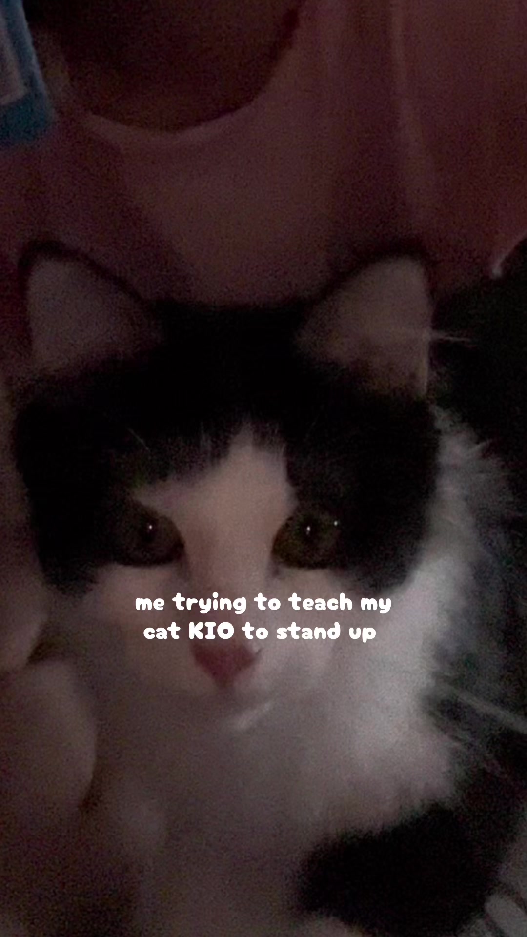 @ᰔᩚ