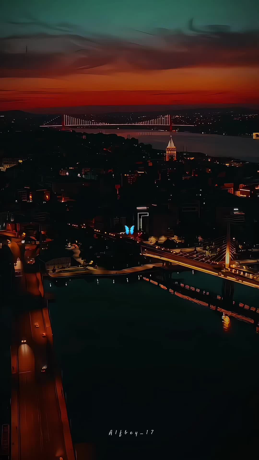 @alifbey🕊️