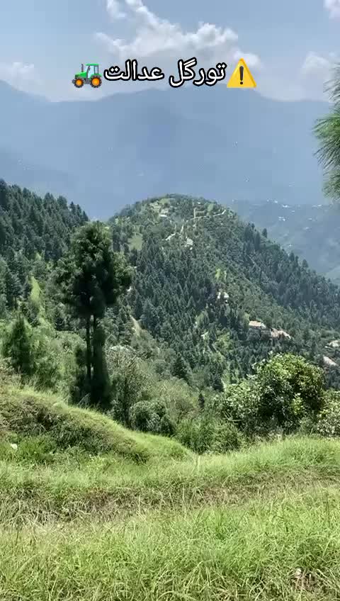 @تورگل