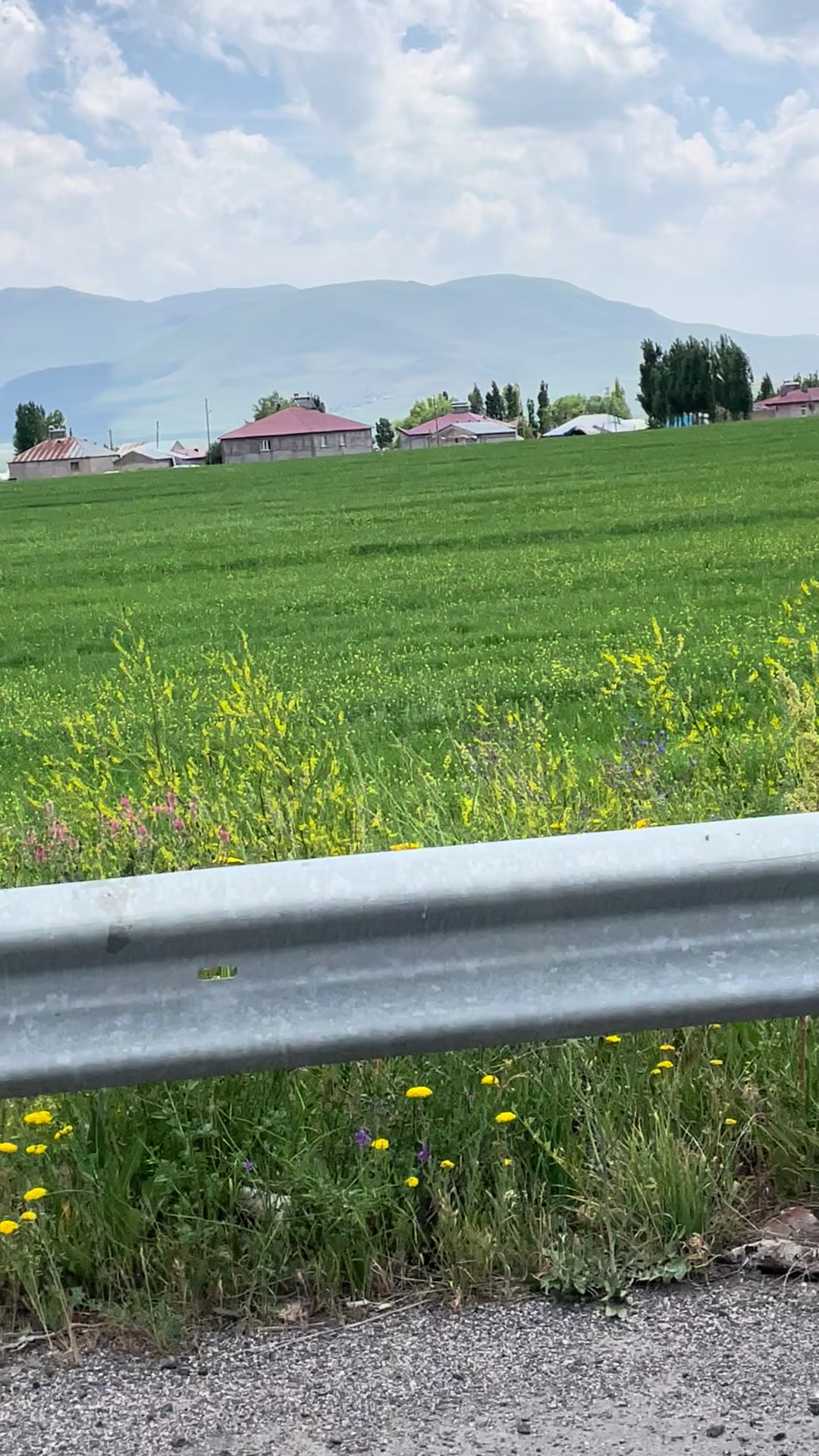 @deniz._.554