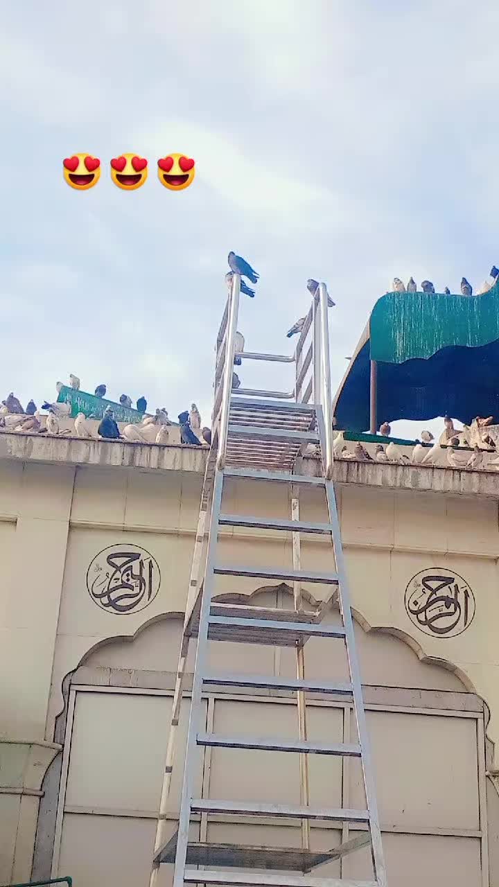 @Ahmad 👿mughal 💀✌️💖♥️🤗