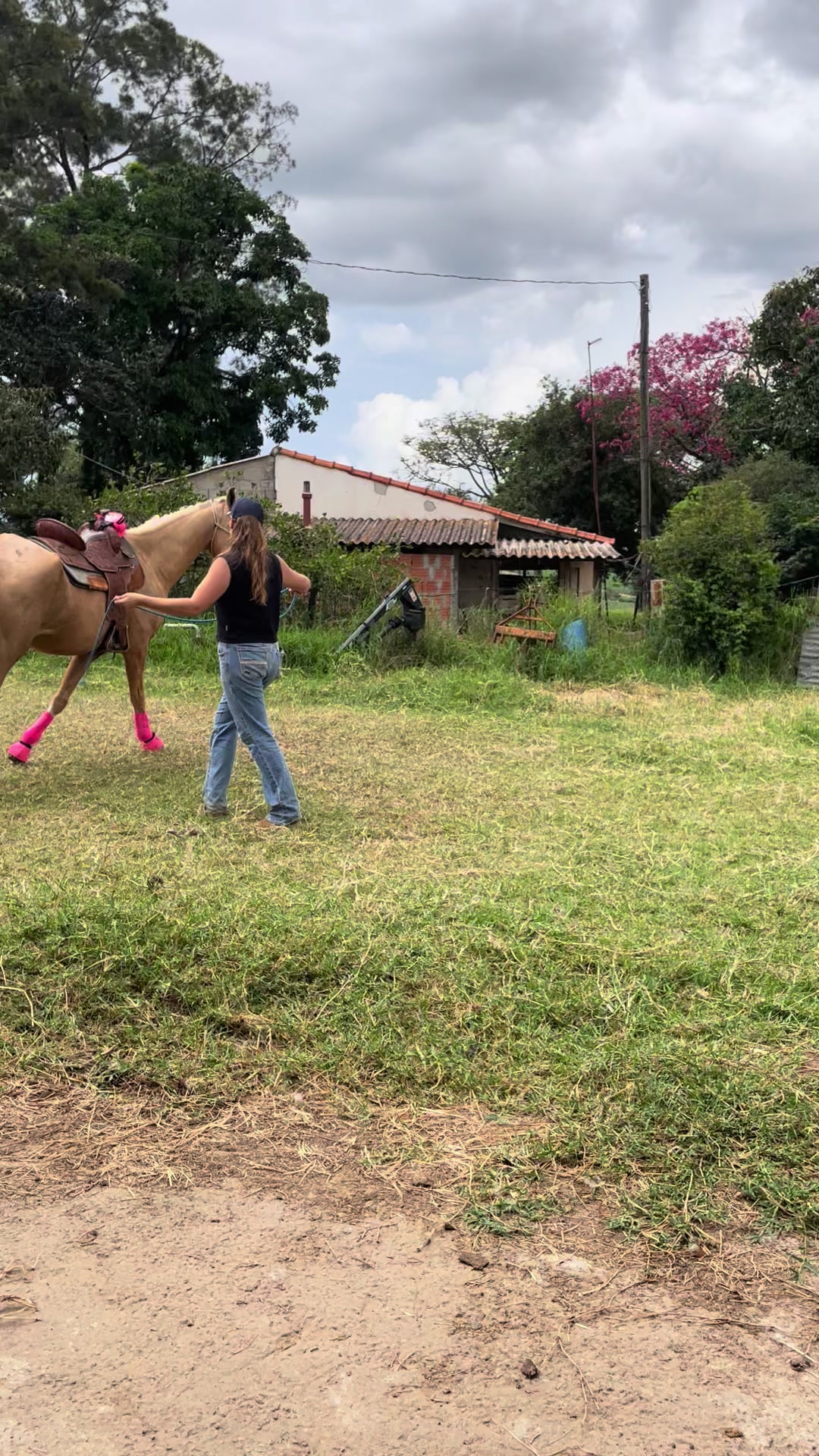 @Thor & cookie🐴🐰