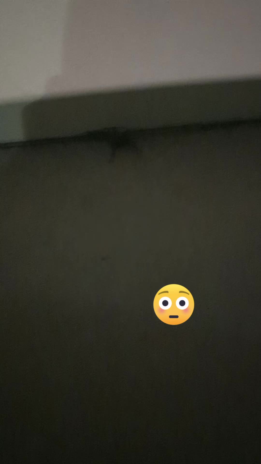 @BettyBoops89