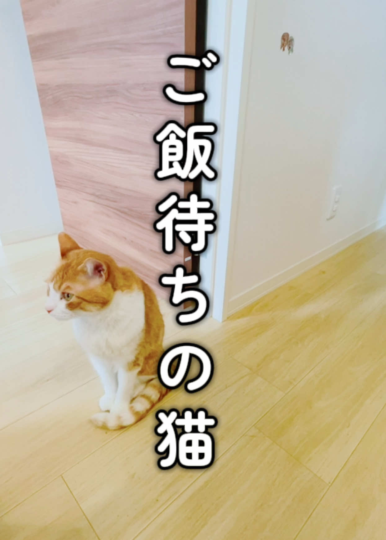 @みーこchannel