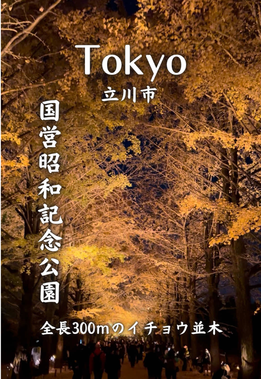 @りょうすけ【東京映えスポット紹介🗼】