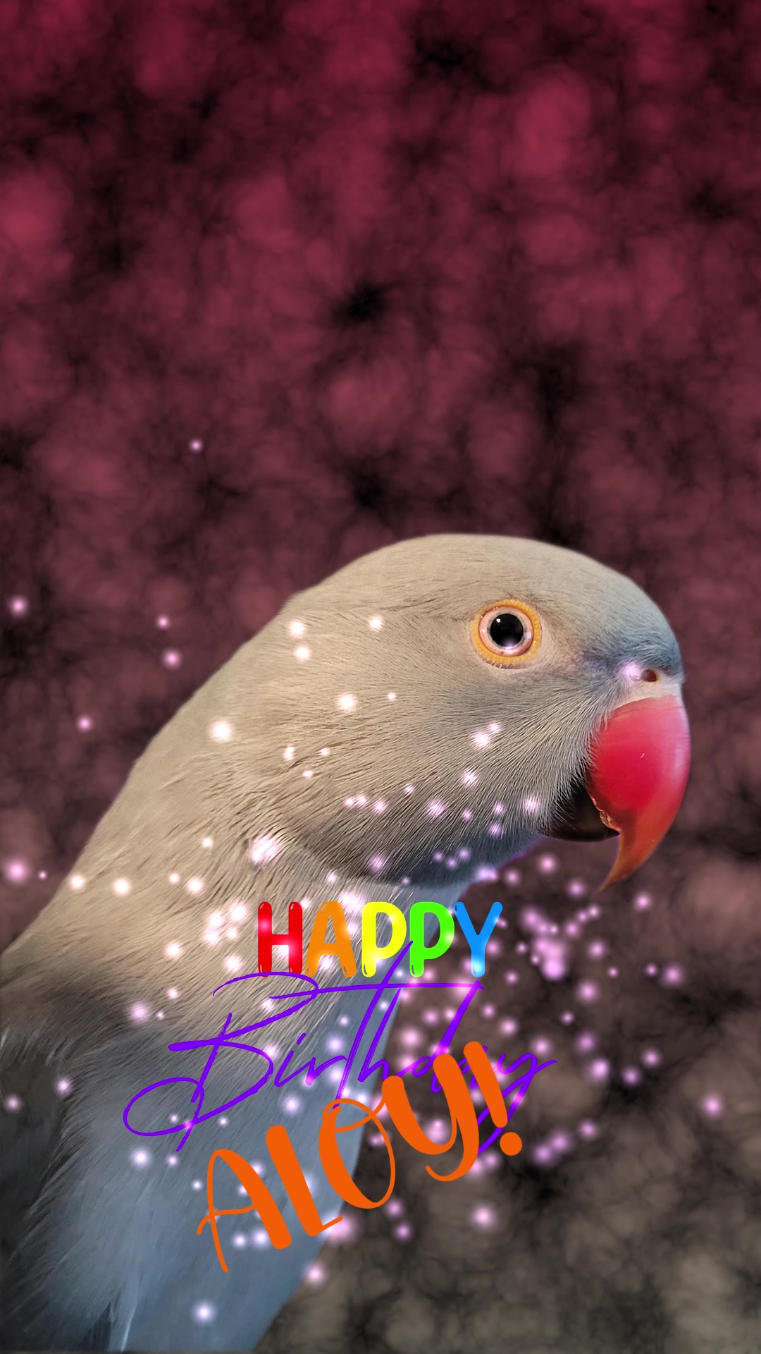 @My Budgie, My Budgie, And Me