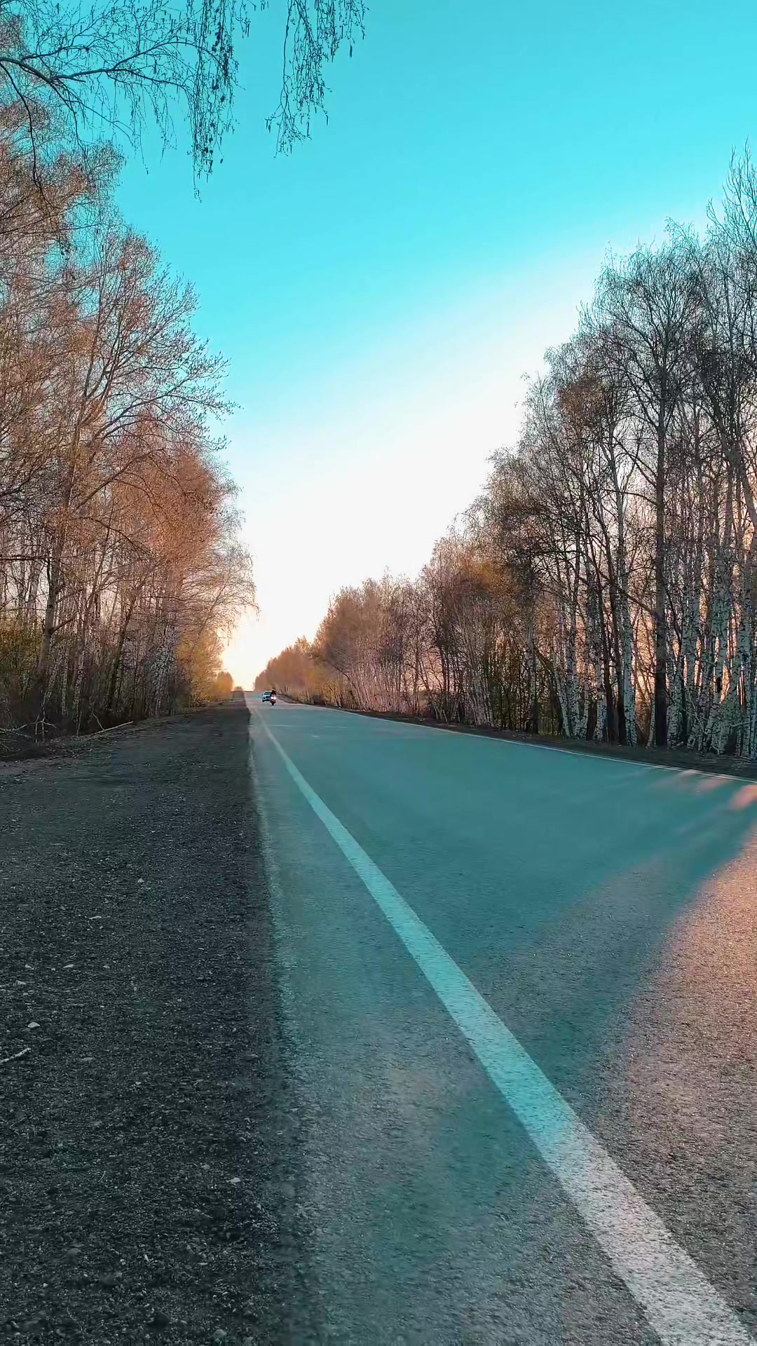@Никита