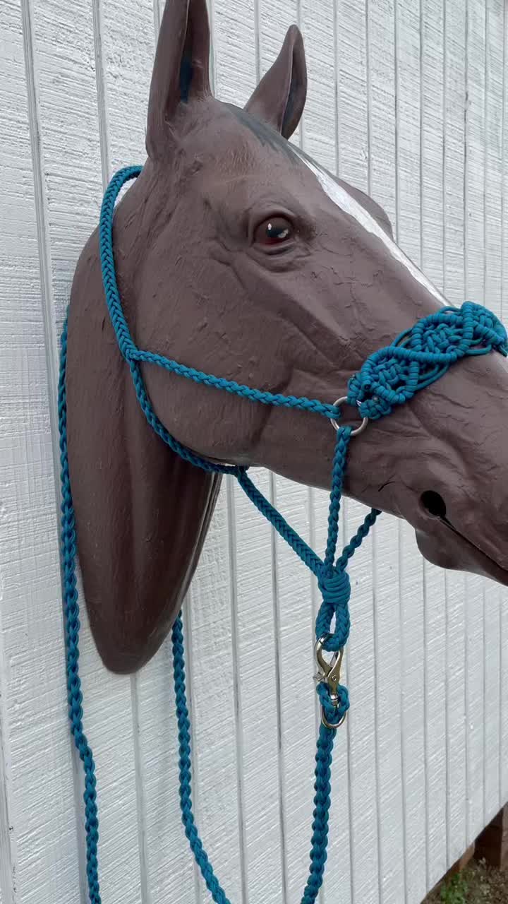 @Tiffanys Braided Horse Tack