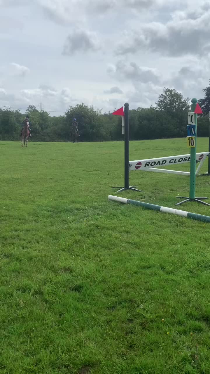 @Horses <3