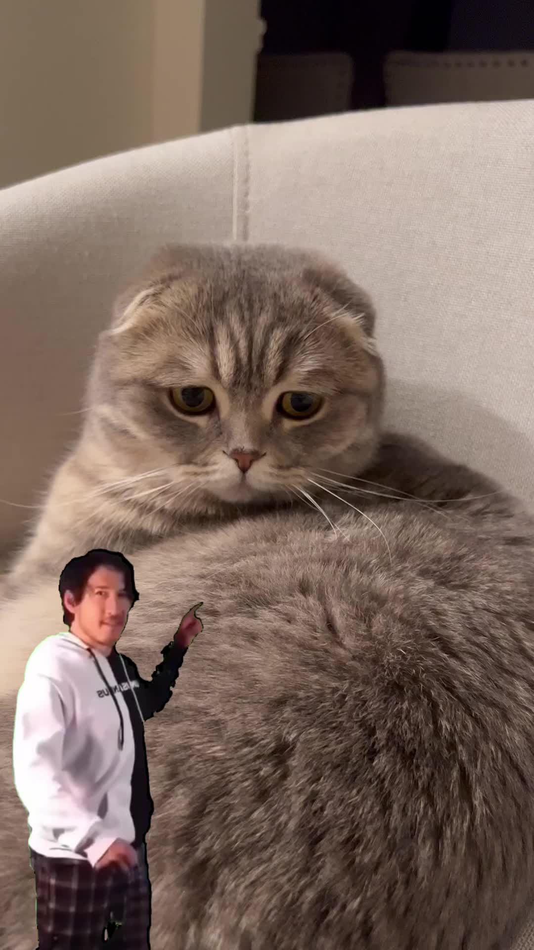 @𝒰𝓏𝒷𝑒𝓀 𝓉𝓇𝒶𝓋𝑒𝓁𝑒𝓇
