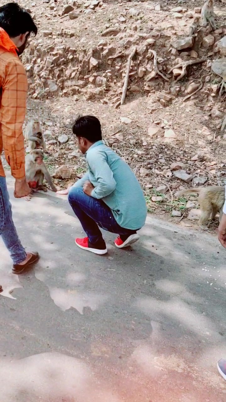 @Rajesh Meena 😍