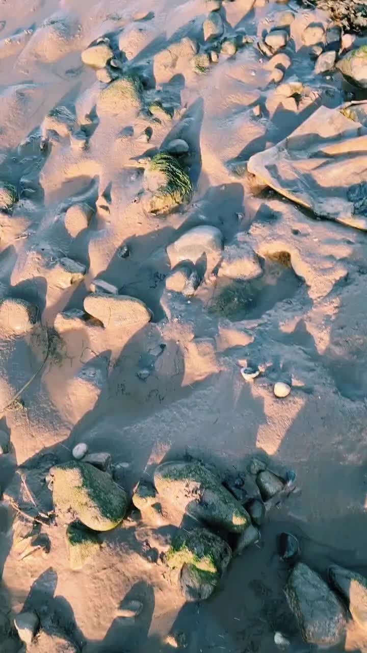 @user425867651038