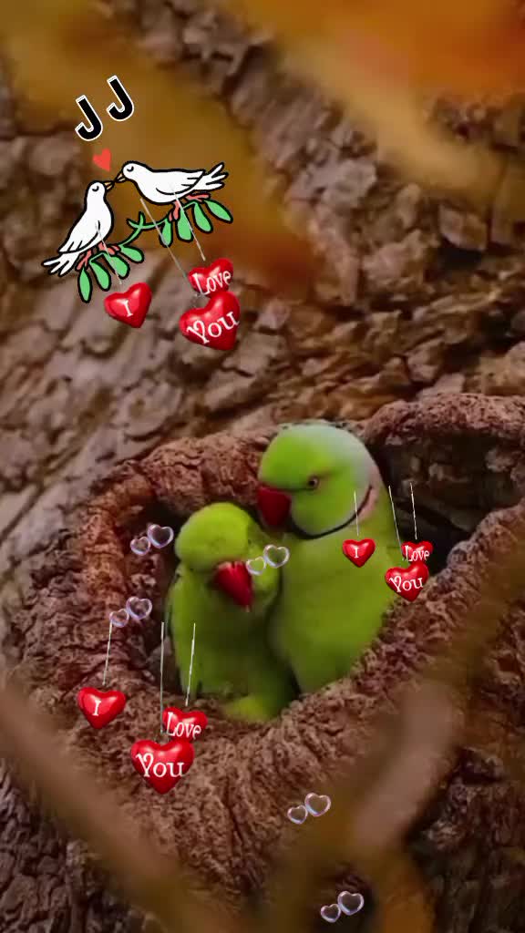 @ஜென்னா 🇱🇰🇱🇰