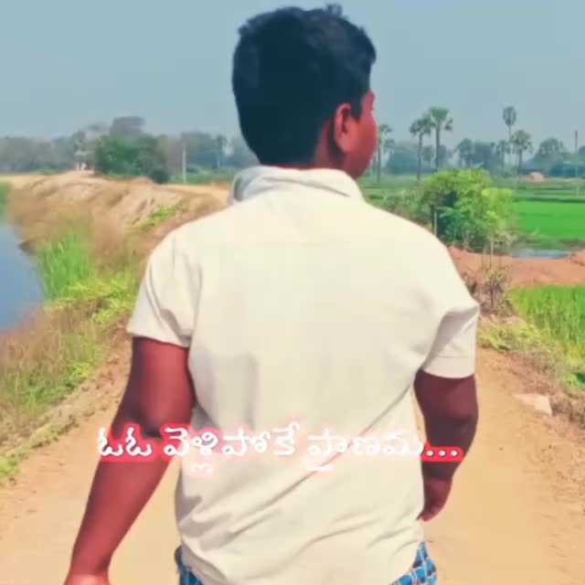 @user2453147402953