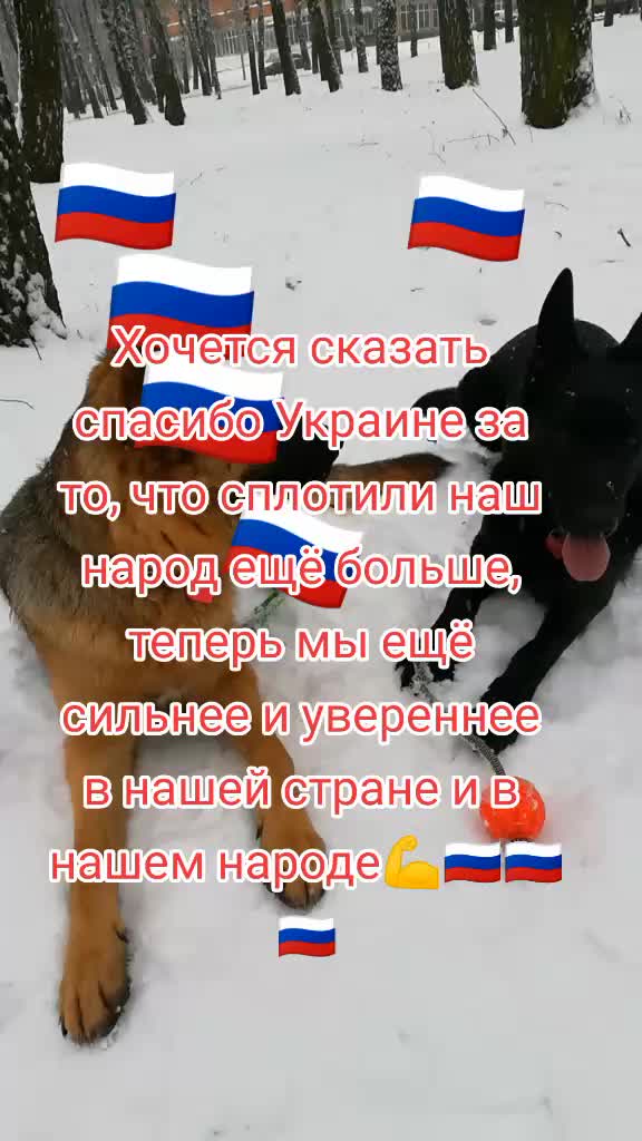 @Irinagerasimova