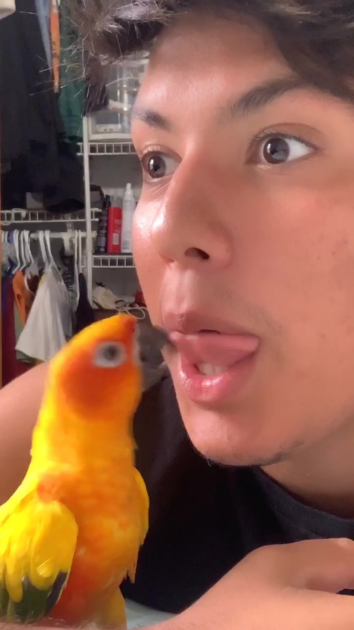 @Willytube