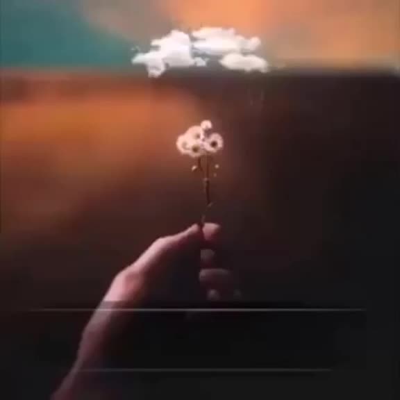 @Turki🥇