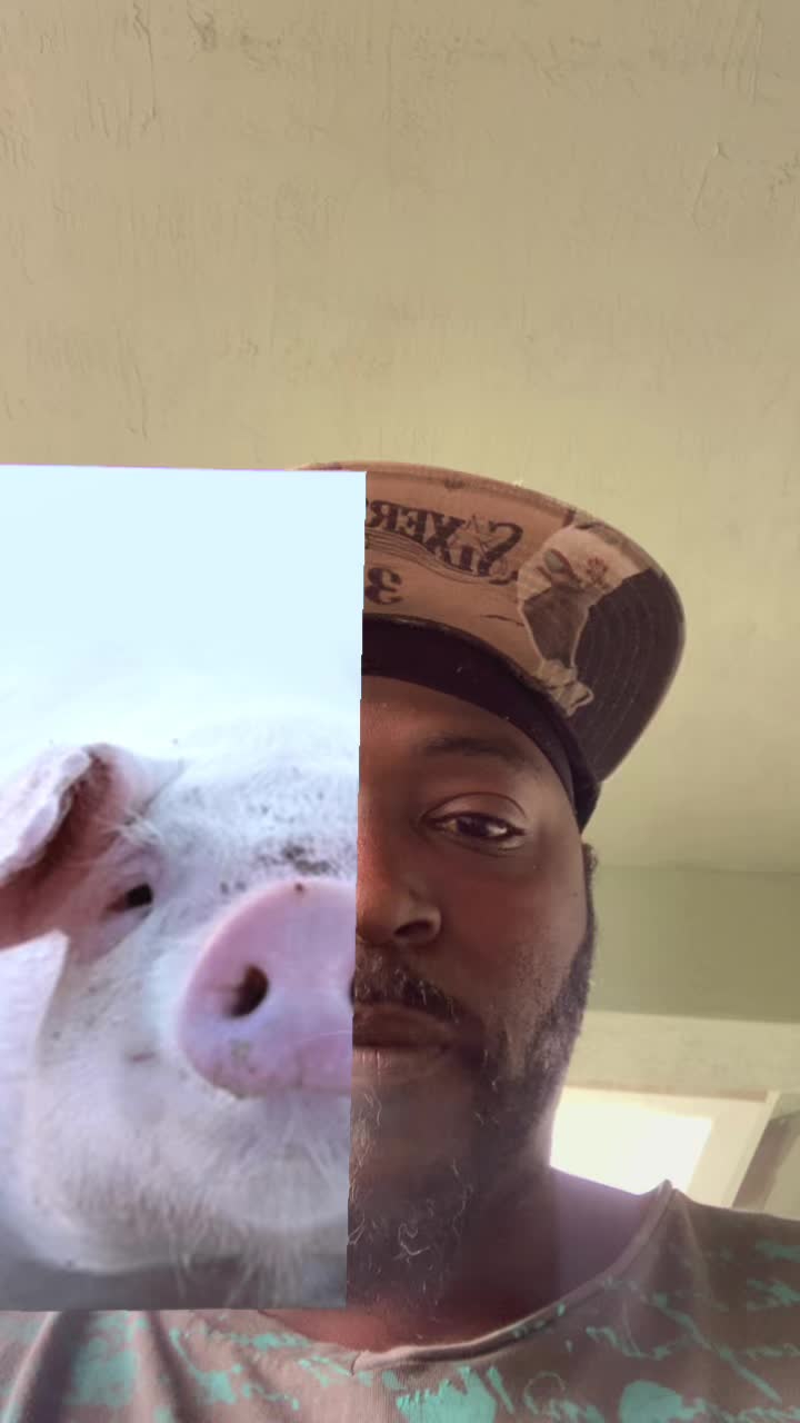 @poseyfambullies