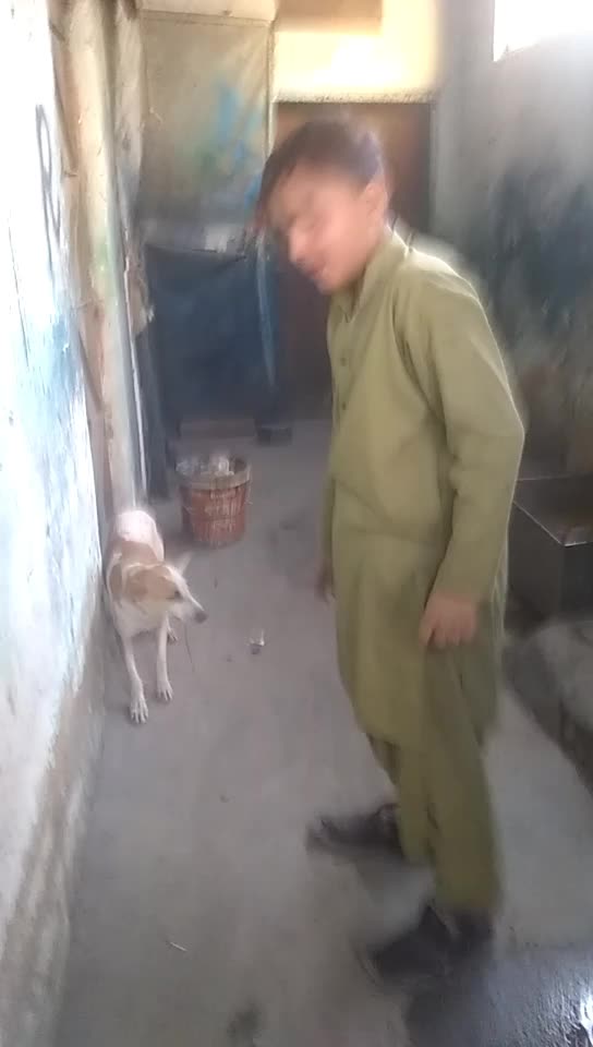 @user26487850963