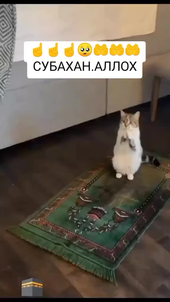 @дилмуроджон 007