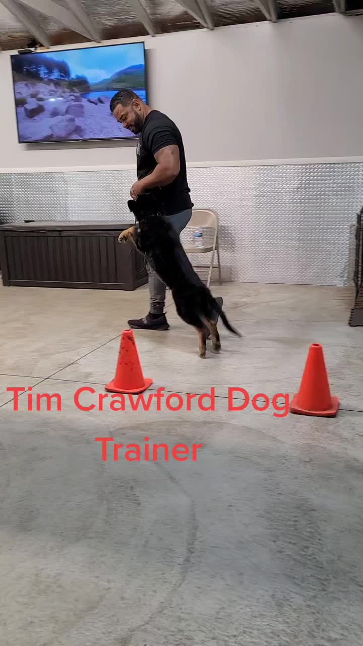 @Tj Crawford