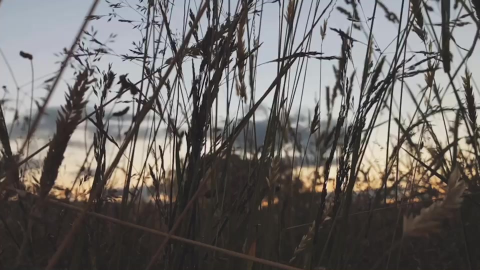 @♡