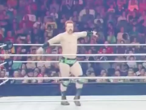 @Tj123Hedgehog